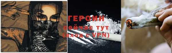 сатива Бородино