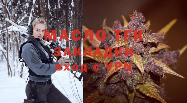 сатива Бородино