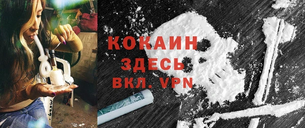гидра Верхний Тагил