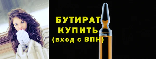 сатива Бородино