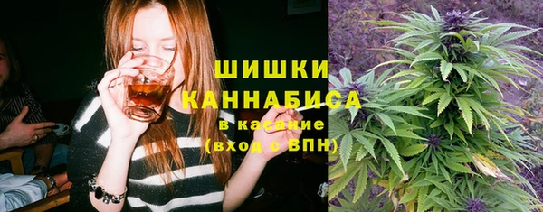 ПСИЛОЦИБИНОВЫЕ ГРИБЫ Бронницы