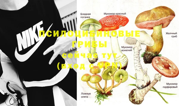 крисы Бугульма