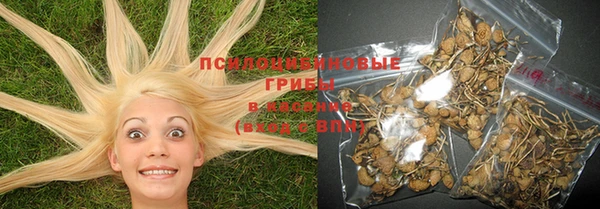 крисы Бугульма