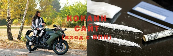 сатива Бородино