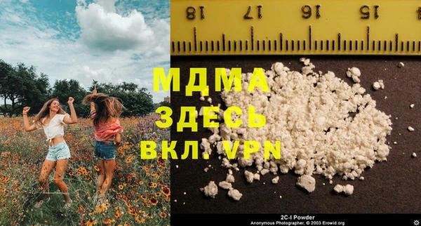 сатива Бородино