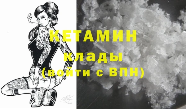 сатива Бородино
