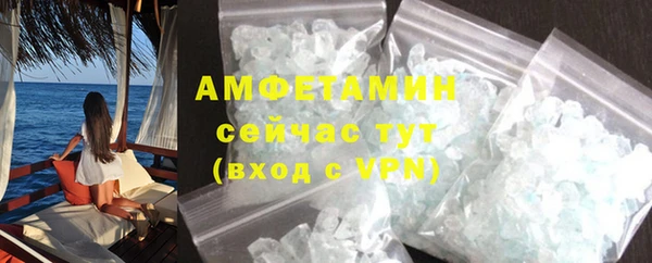 сатива Бородино