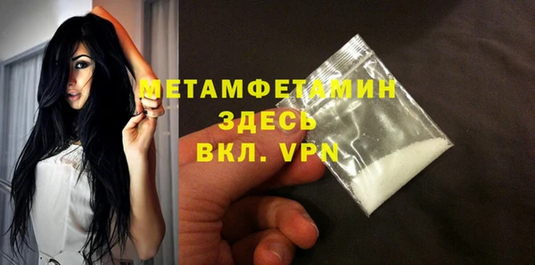 сатива Бородино