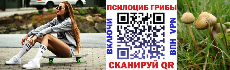 Псилоцибиновые грибы MAGIC MUSHROOMS  закладка  кракен онион  Новороссийск 
